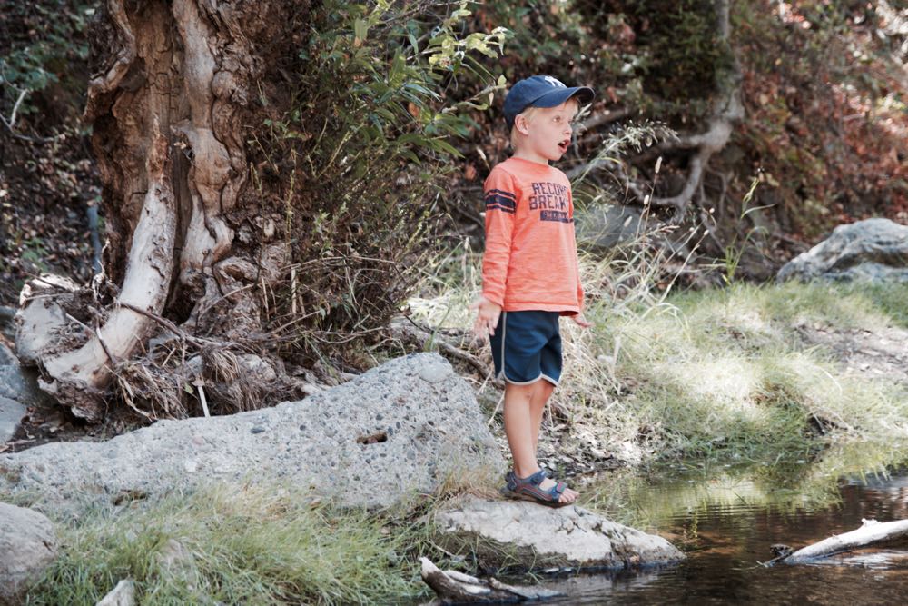 where to find tadpoles in the state park