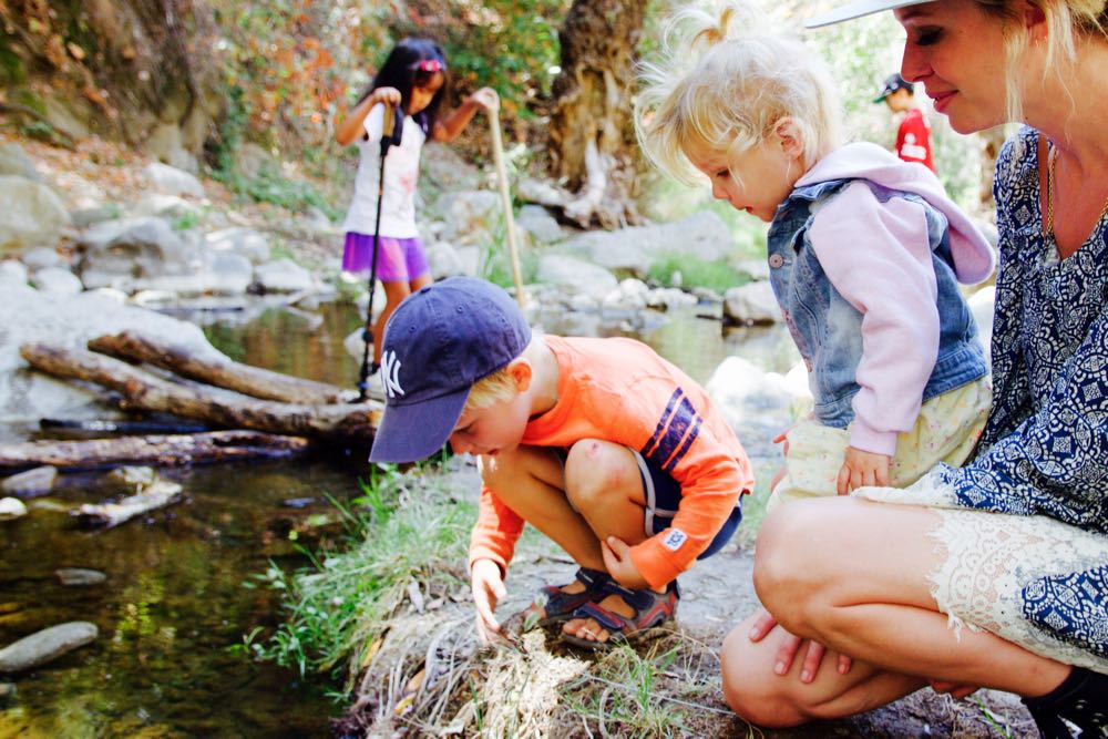 looking for tadpoles in the state park