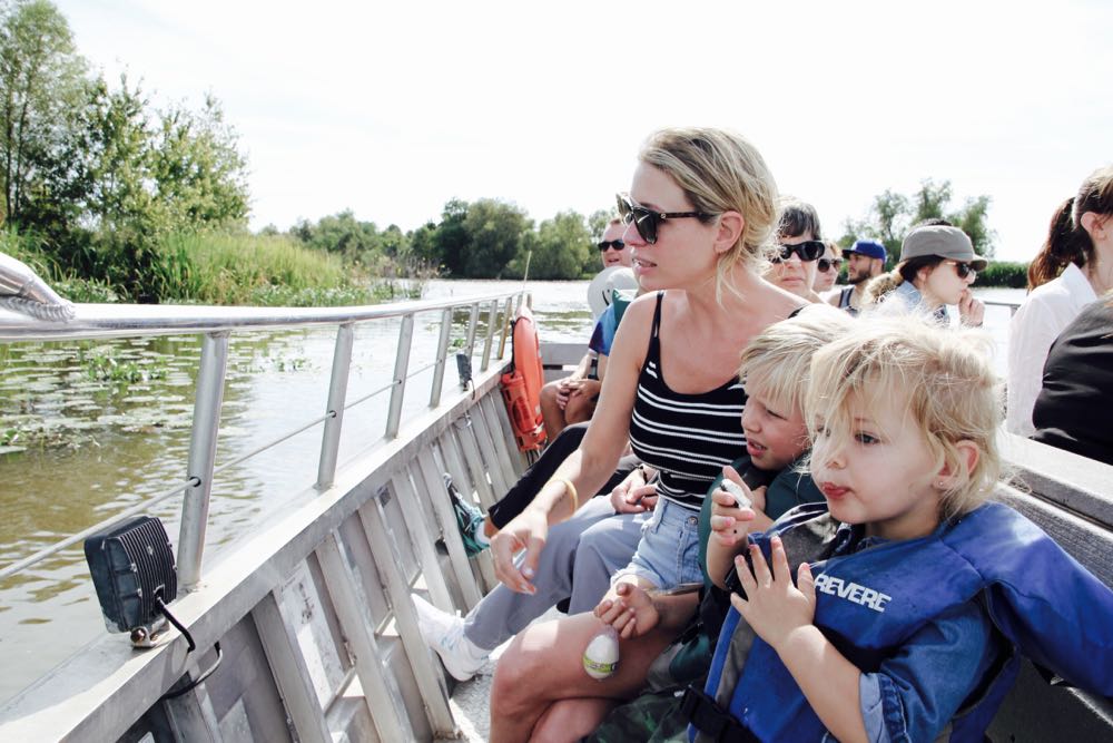 cajun encounters alligator tour in new orleans