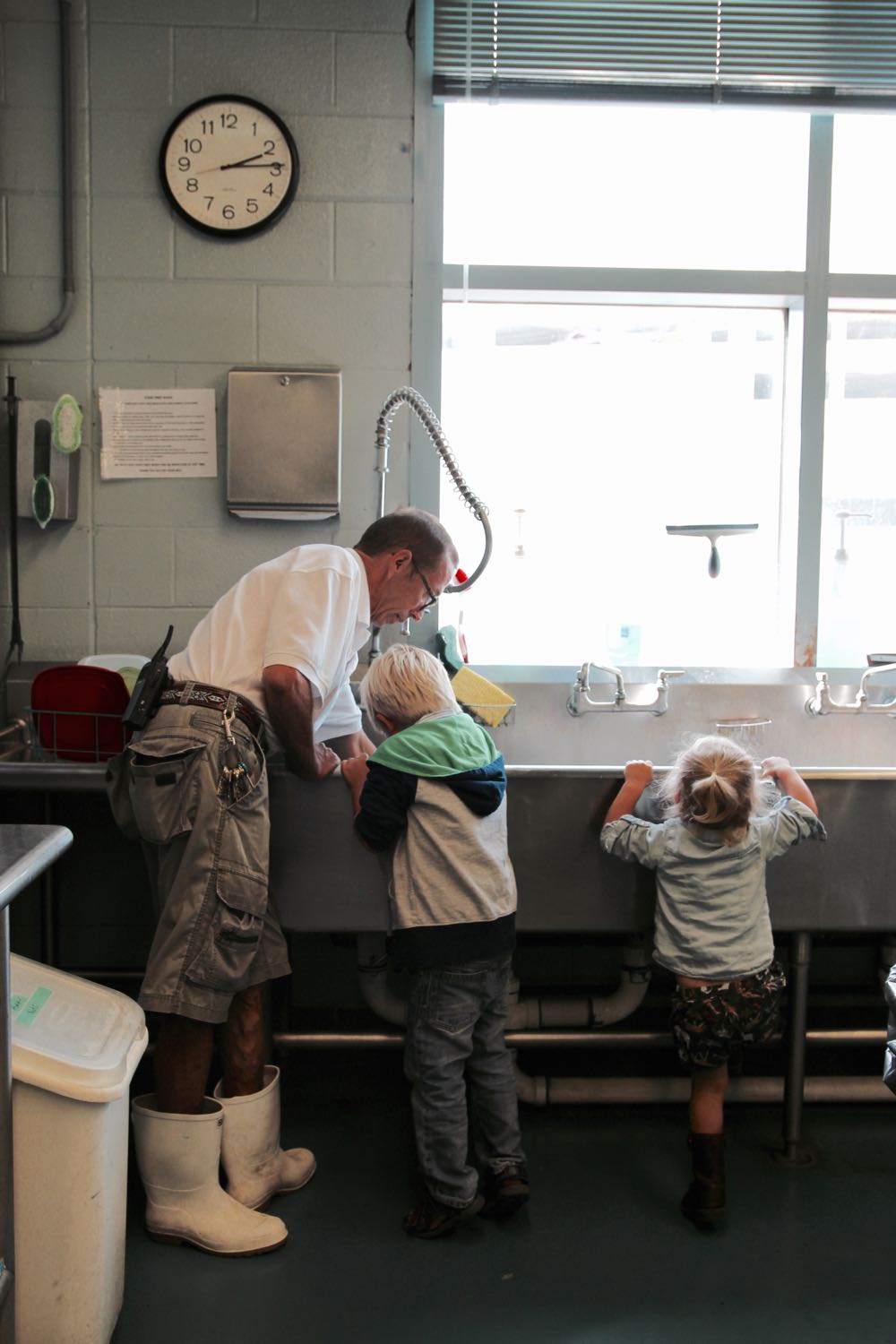 the penguin experience at audubon aquarium