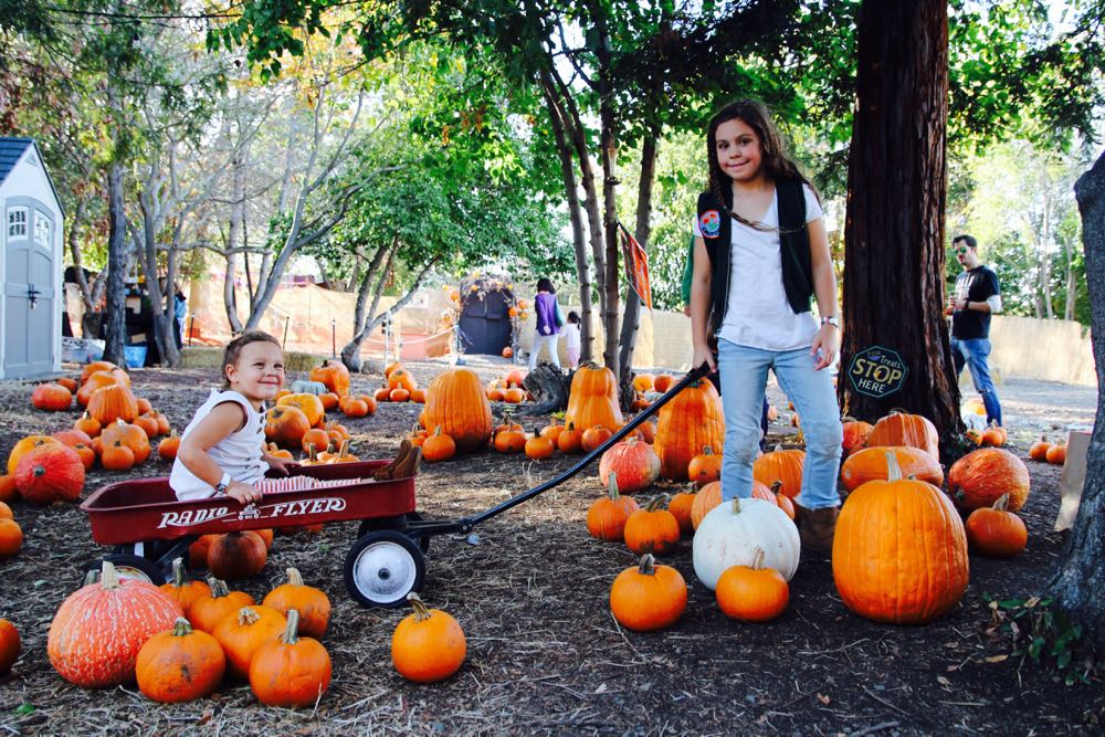 family pumpkin patch in san jose california