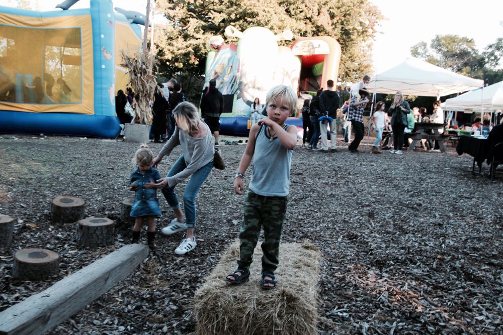 family pumpkin patch in san jose california