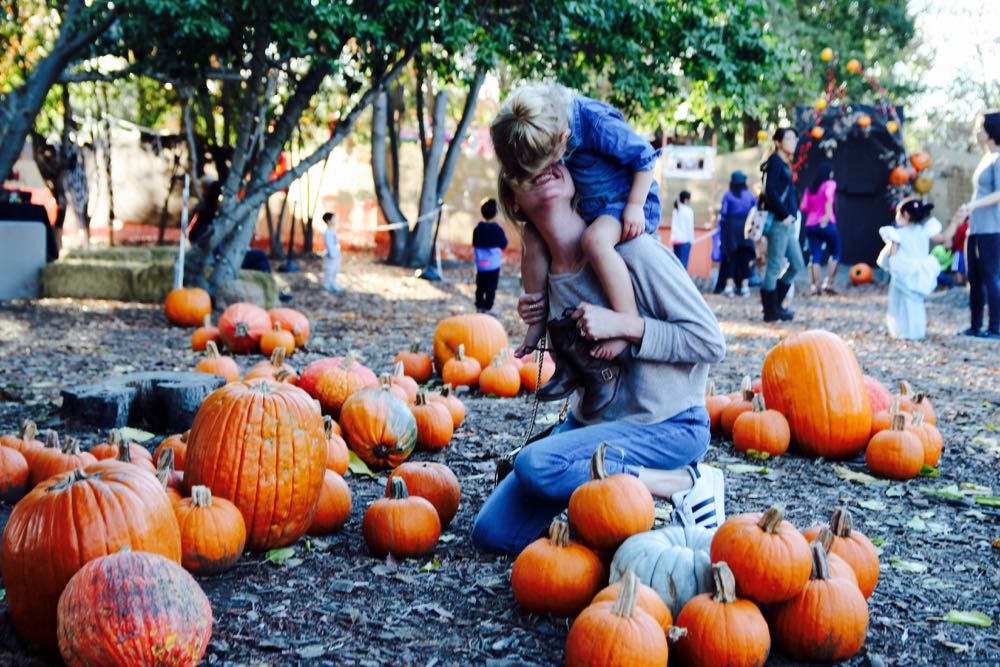family pumpkin patch in san jose california