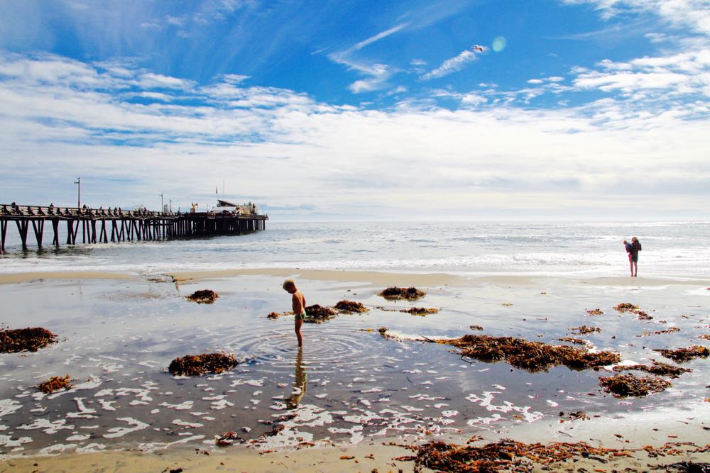 What to do in Capitola Beach with kids