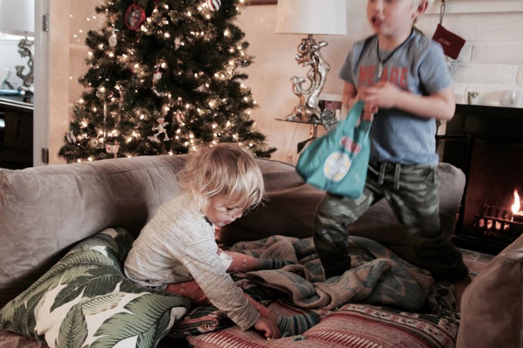 cookie recipe with fair life ultra filtered milk