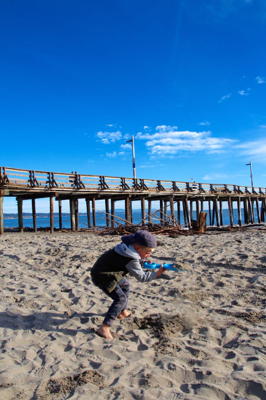what to do in capitola beach for families