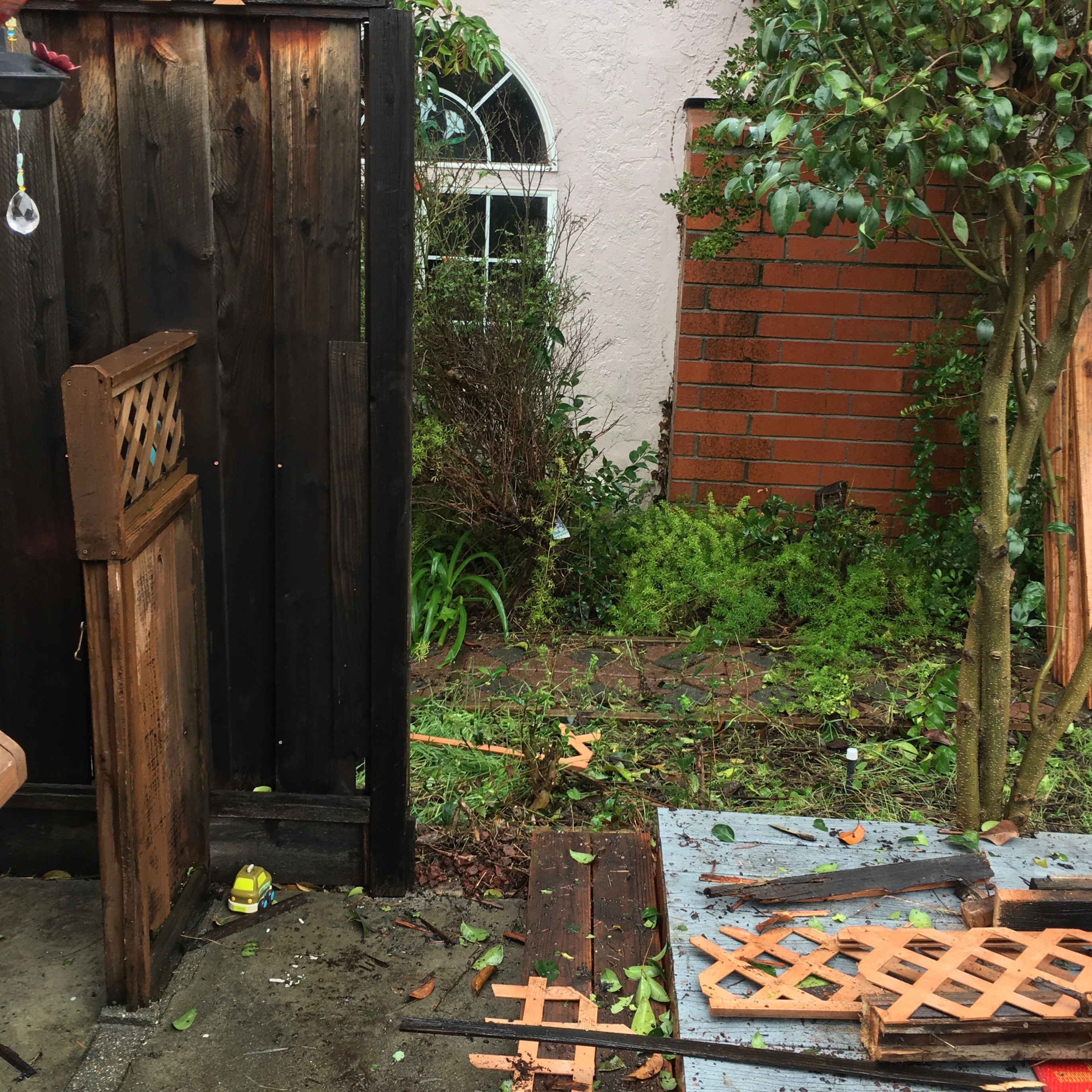 bombogenesis storm damage in california