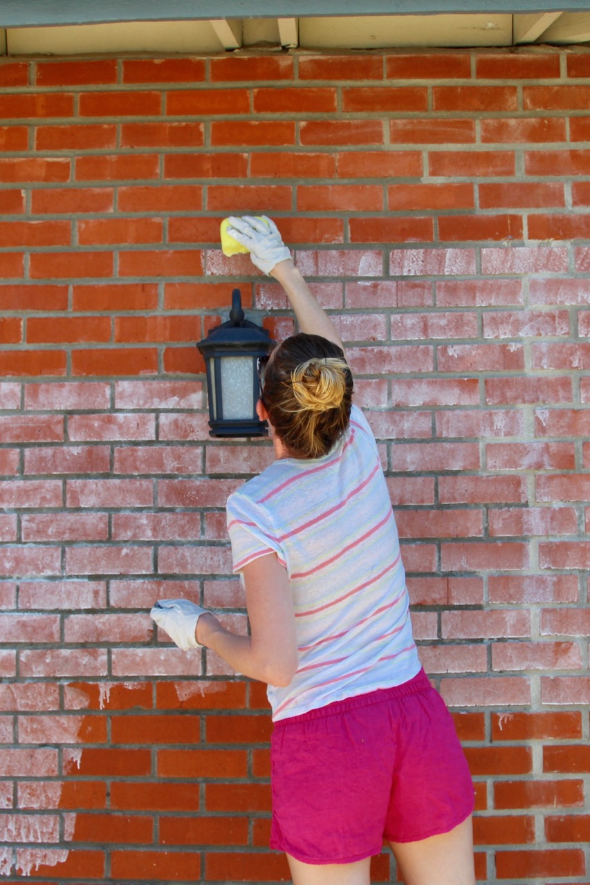 ideas for what to do about an ugly brick wall