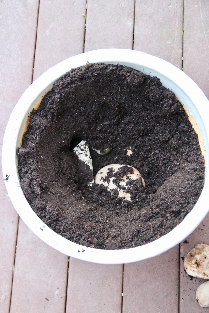how to make your own backyard solar water fountain