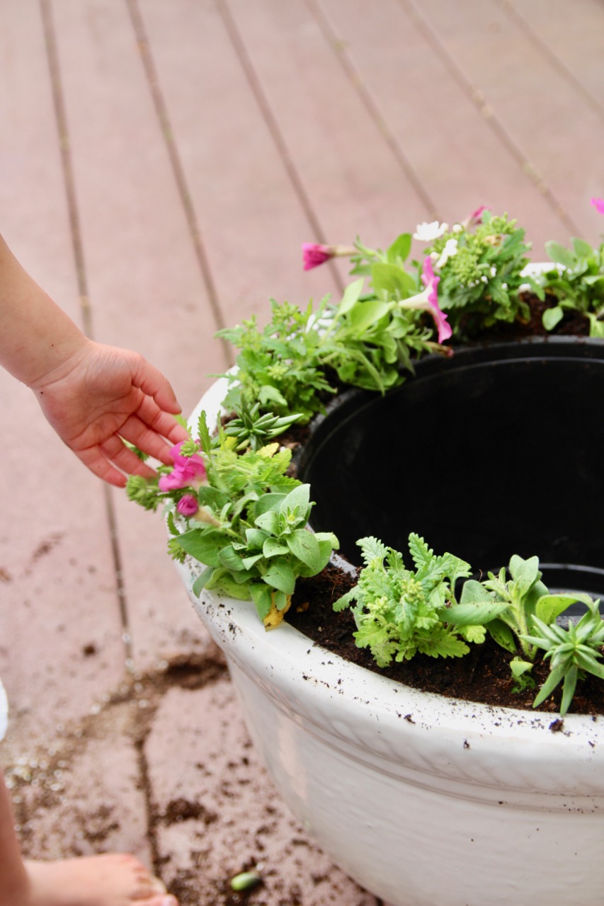 how to make your own backyard solar water fountain
