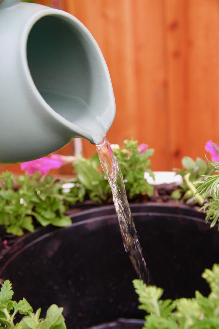 pouring water from a jug into a fountain