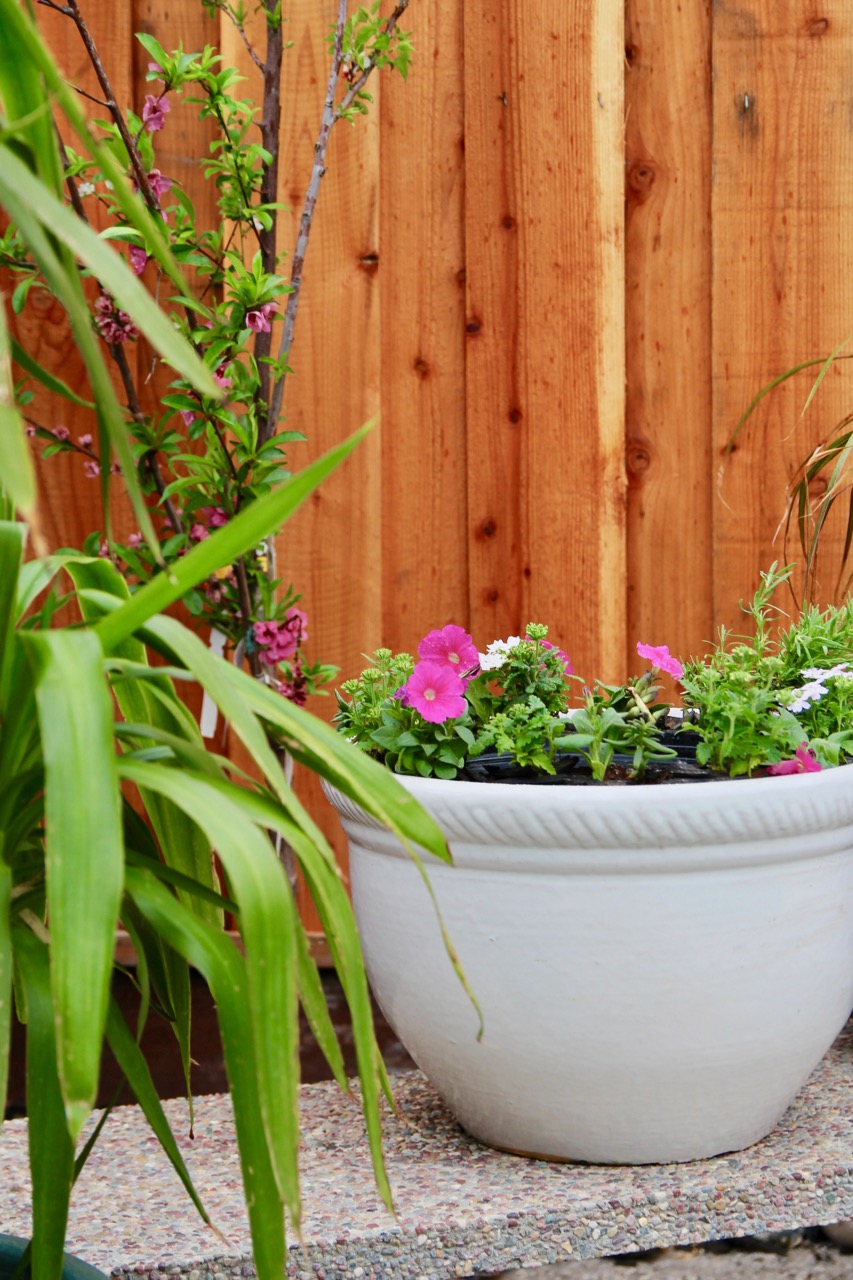 how to make your own backyard solar water fountain