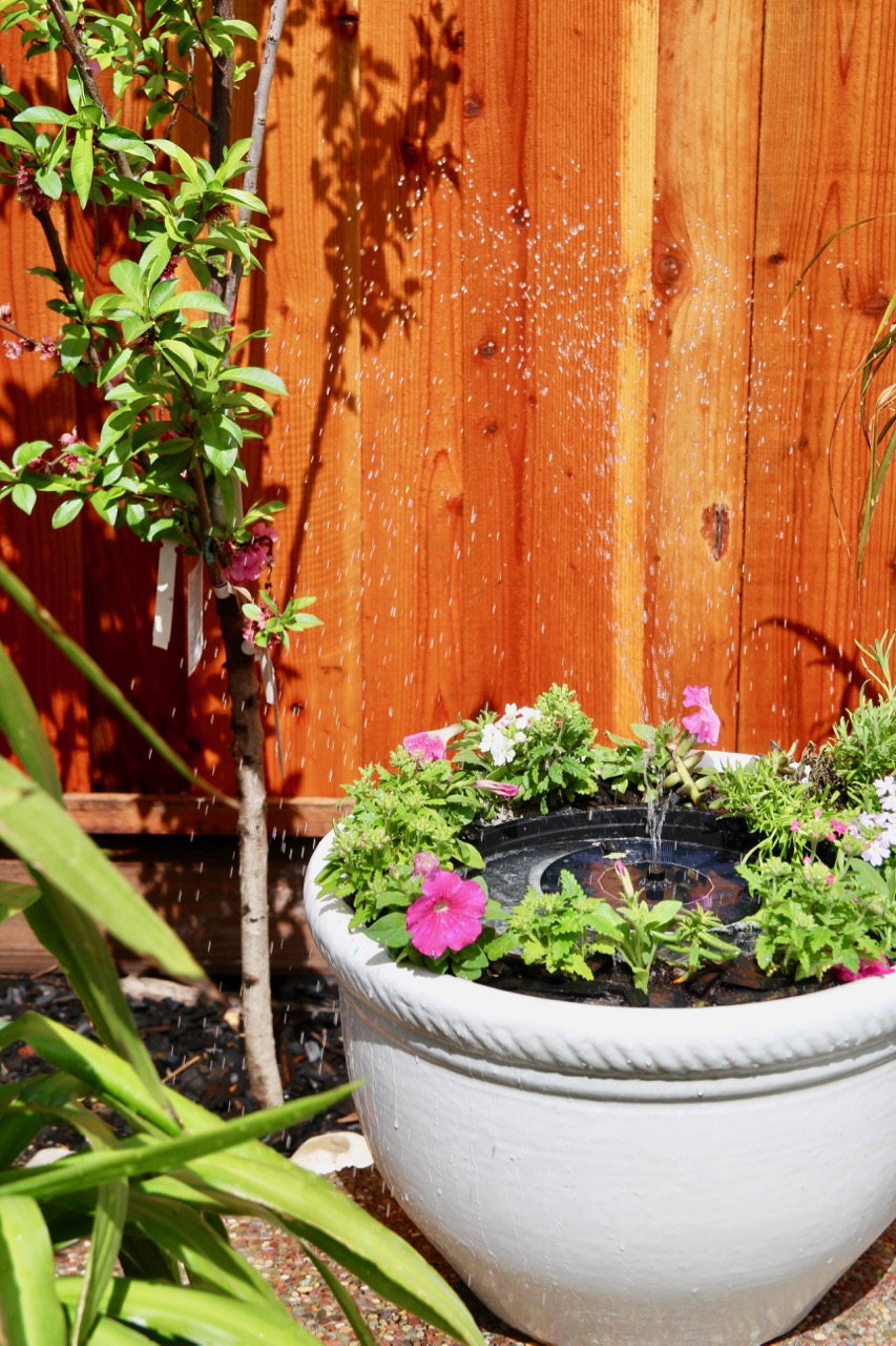 how to make your own backyard solar water fountain