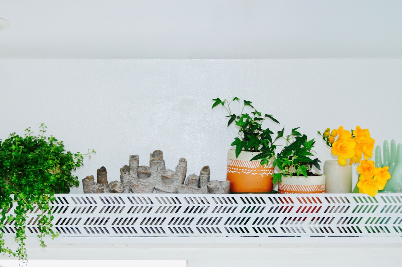 ideas for an indoor kitchen wall shelf with plants