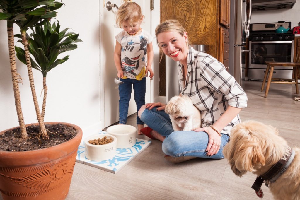how to use Clorox bleach to get rid of parvovirus