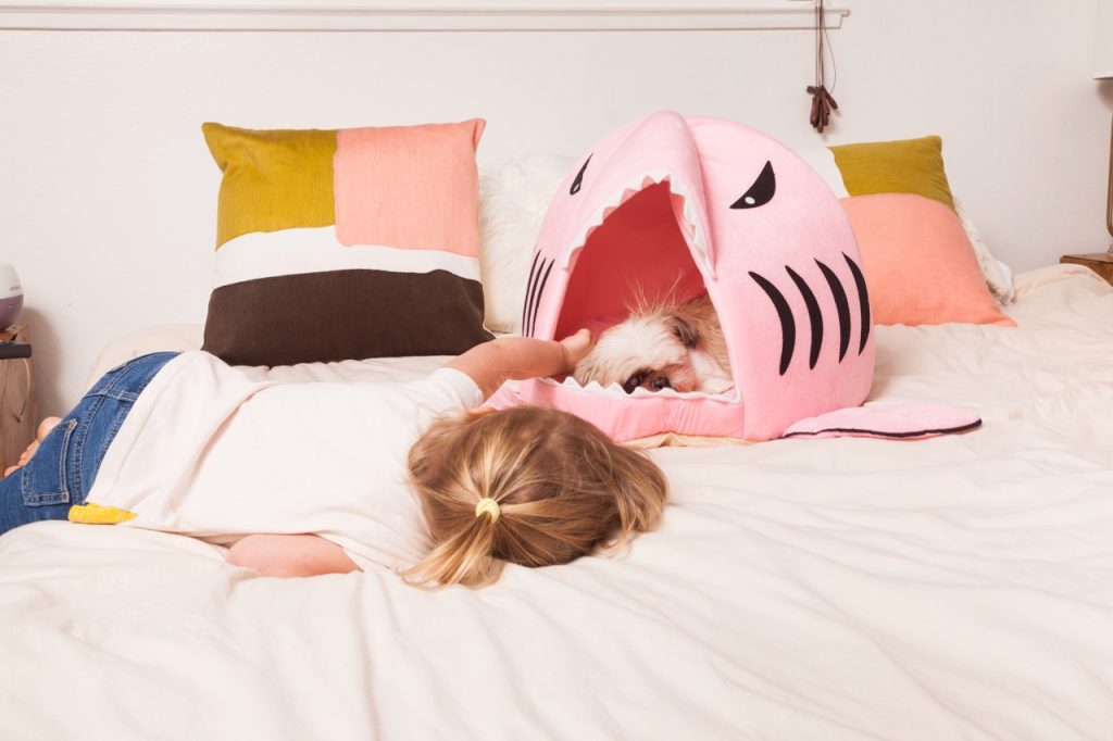 pink shark dog pillow
