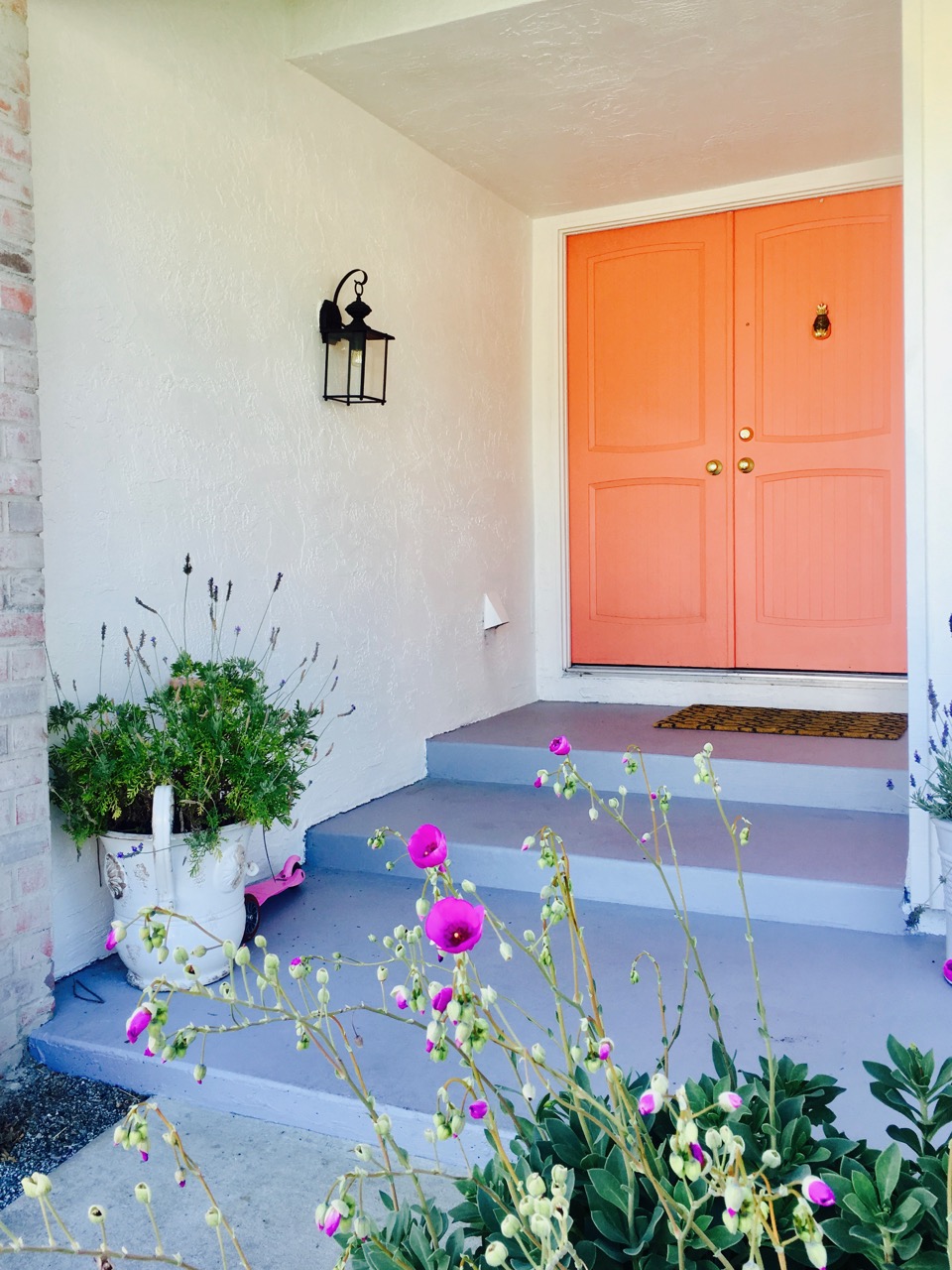 pink front door on a ranch house