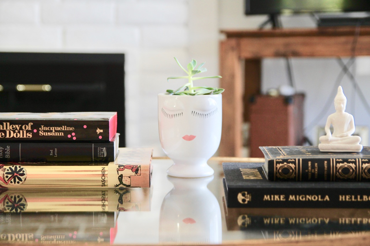 ceramic planter for a succulent