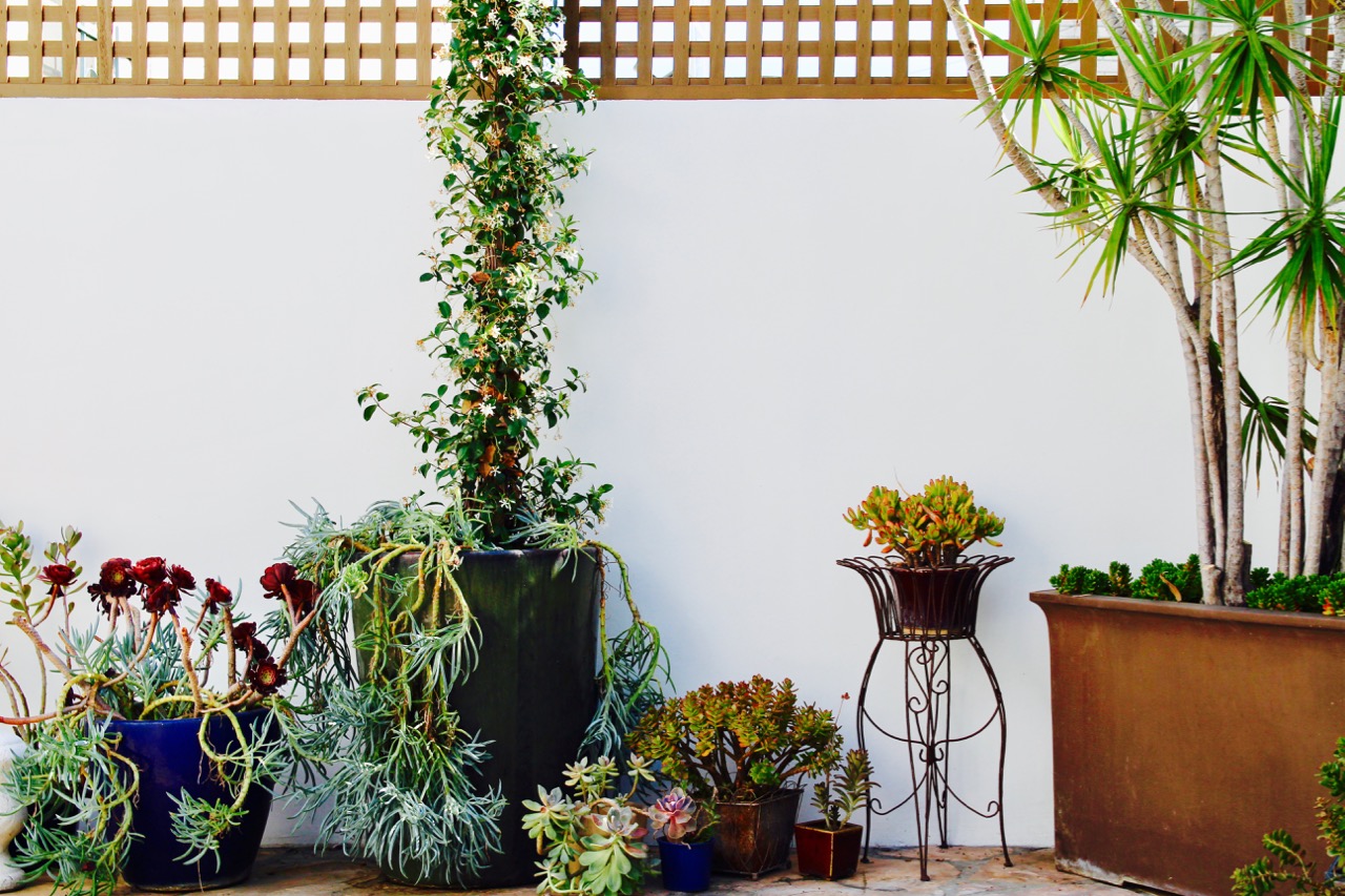 A Los Angeles Urban Oasis house tour