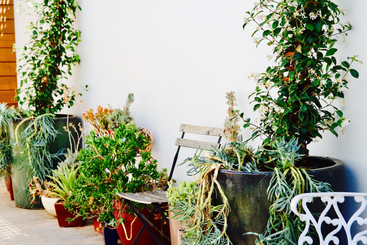 A Los Angeles Urban Oasis house tour