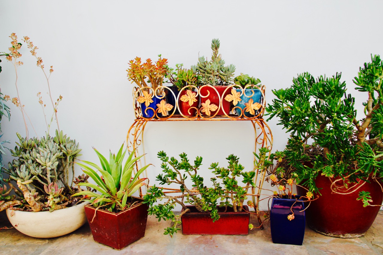 A Los Angeles Urban Oasis house tour