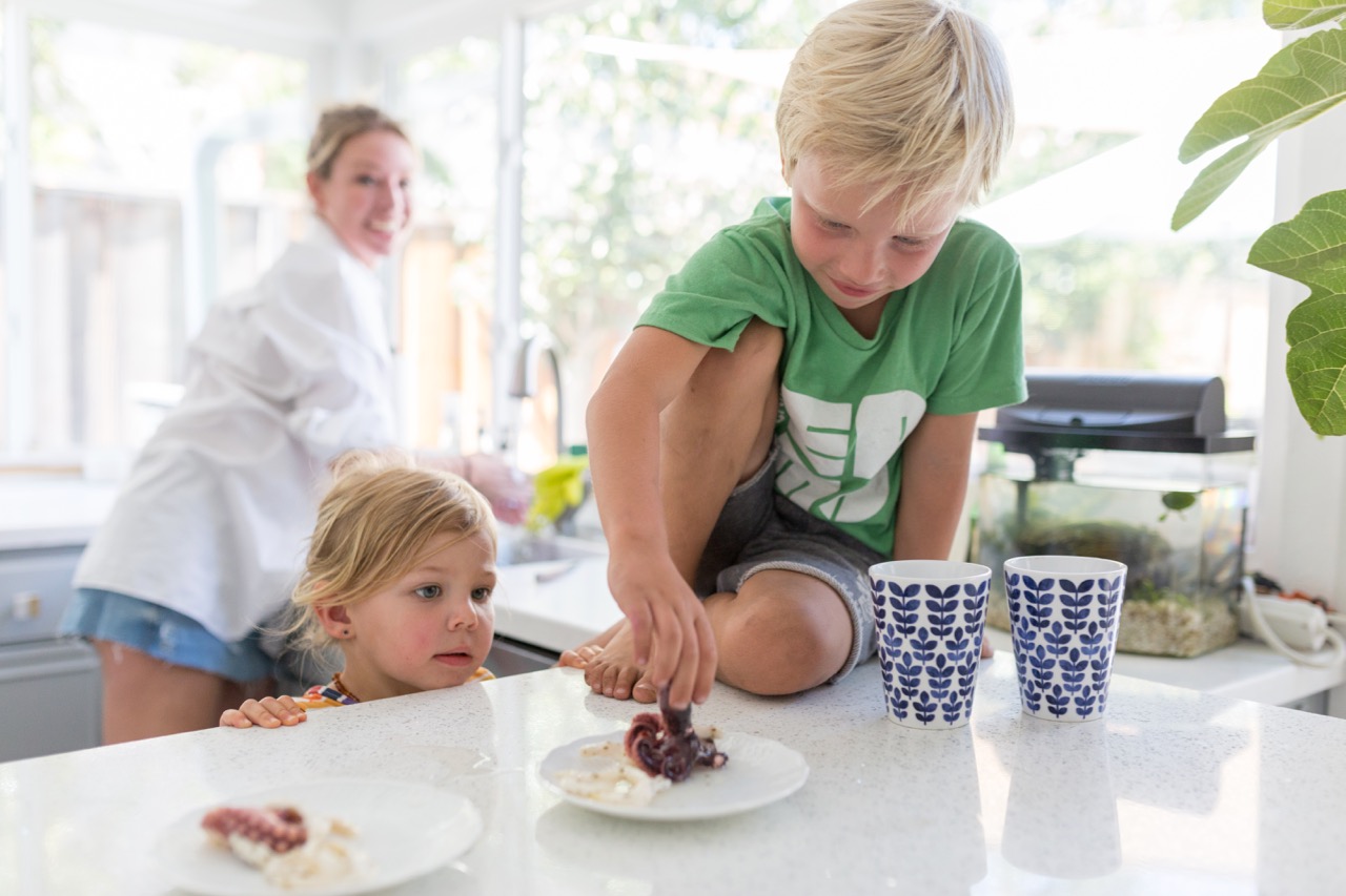 fairlife superkids ultra filtered milk with omega 3