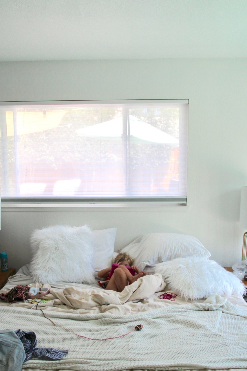 smith and noble dual view blackout blinds