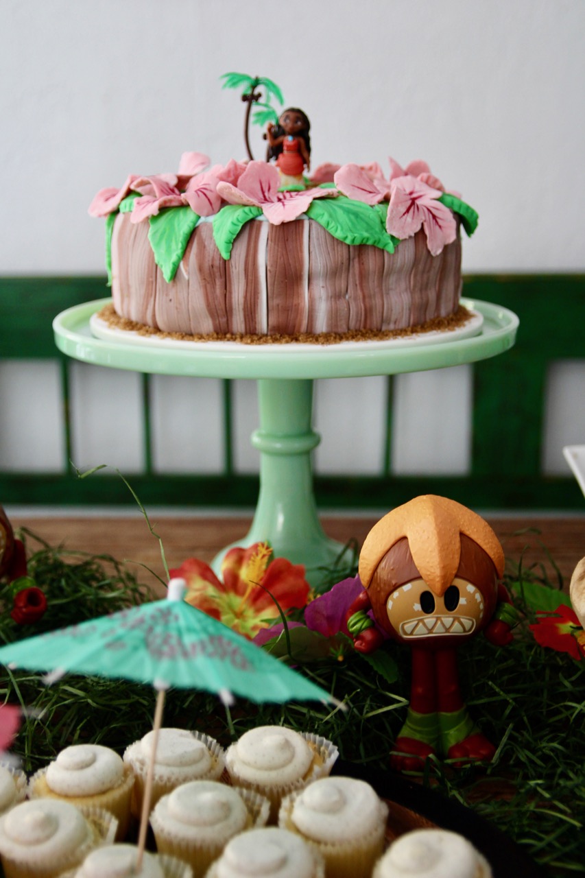 ideas for a moana theme birthday party