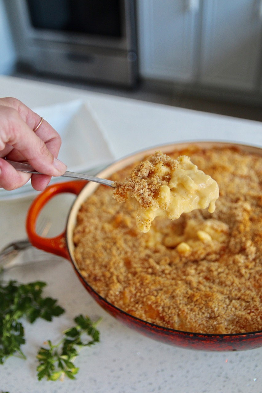 delicious macaroni and cheese for adults made with fairlife milk