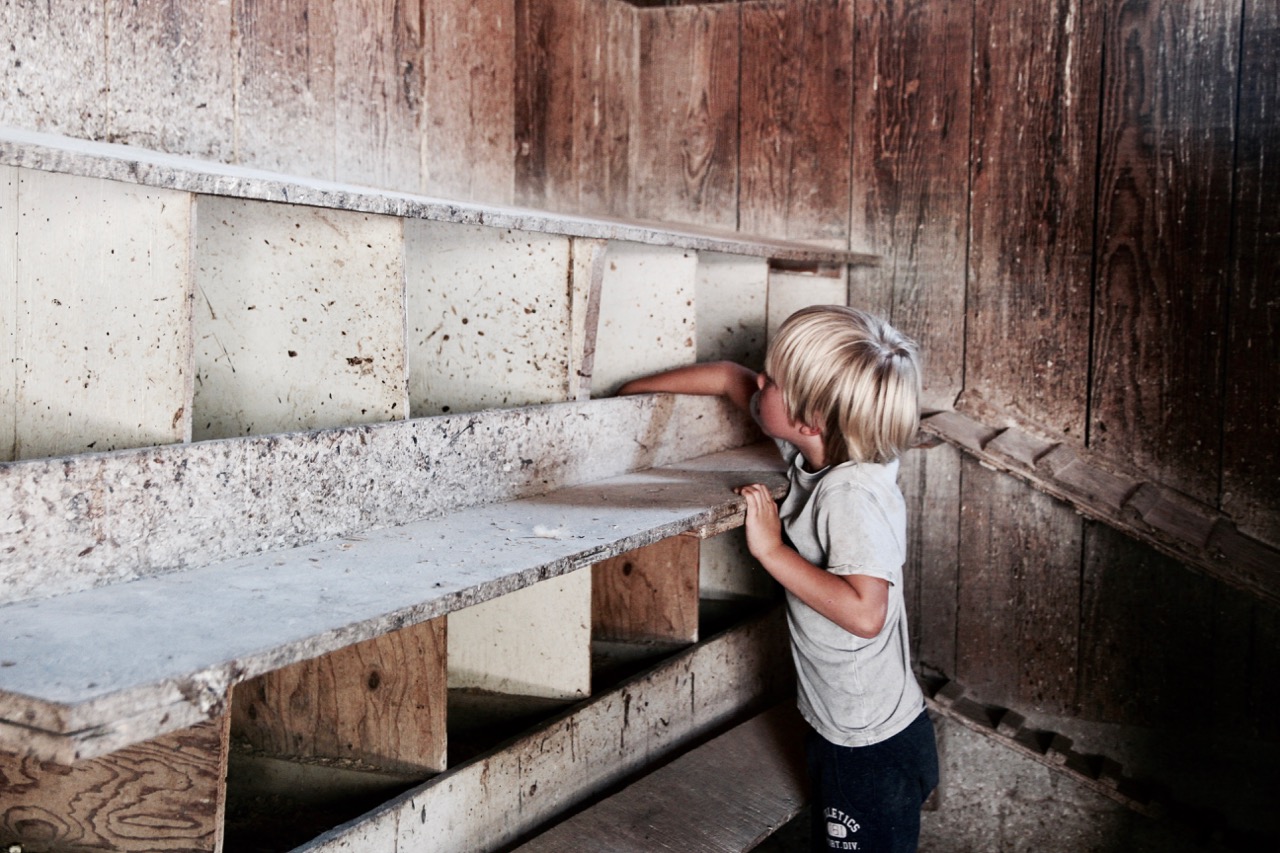 alisal guest horse ranch in Southern California