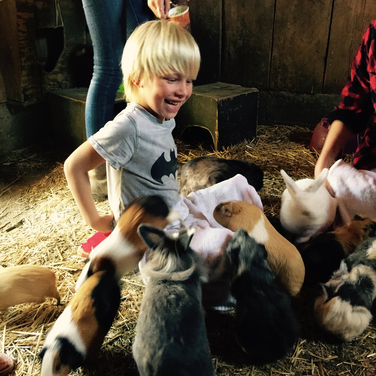 alisal guest horse ranch in Southern California