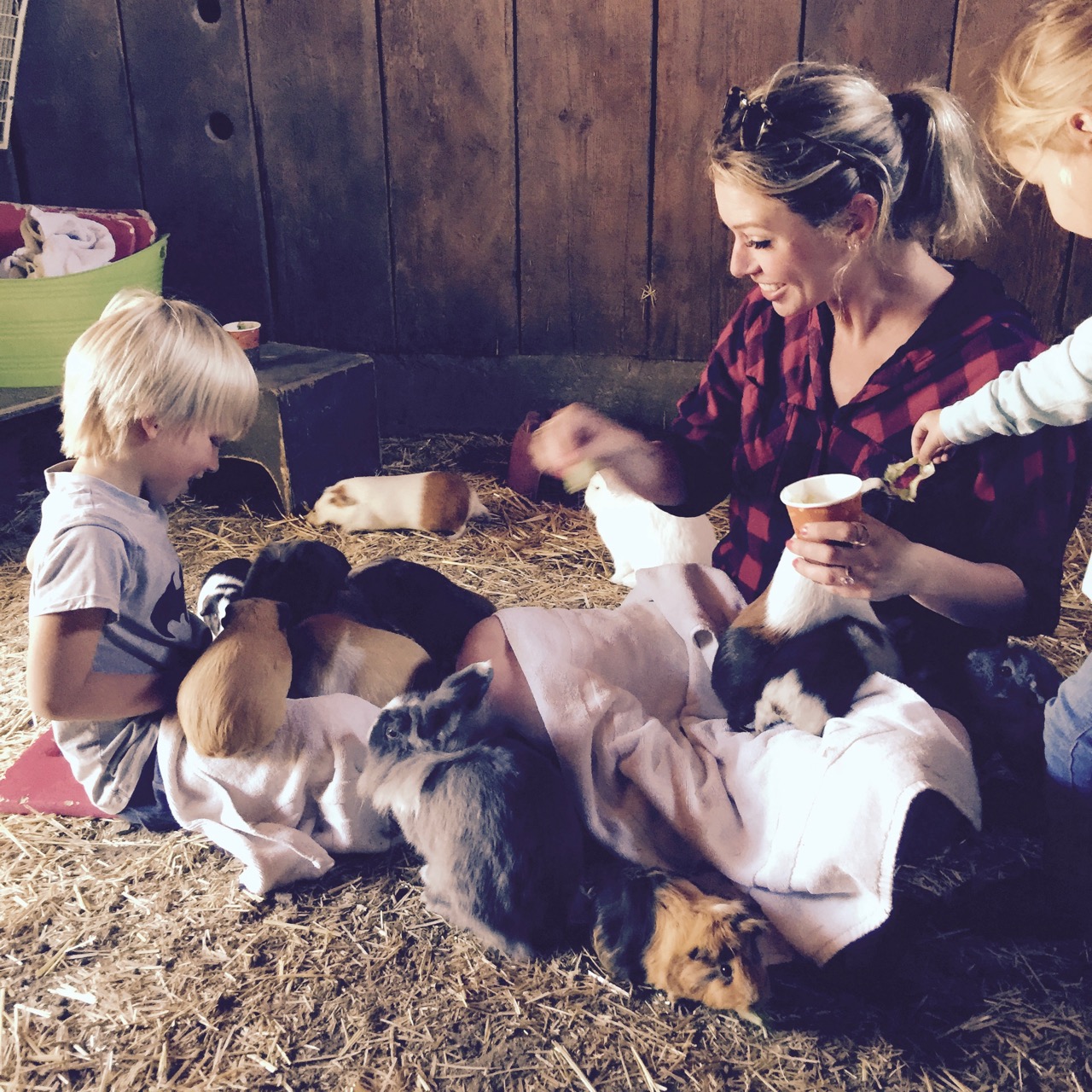 alisal guest horse ranch in Southern California