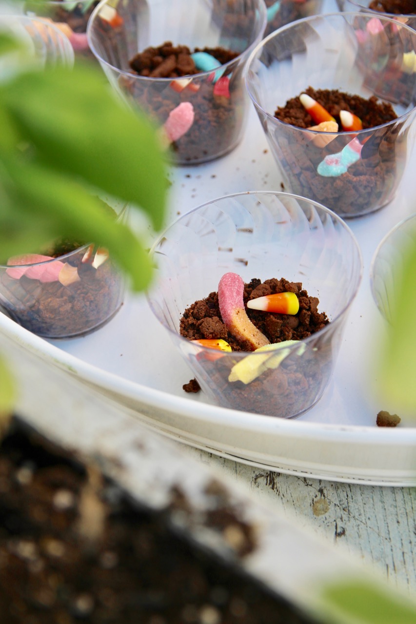 how to make worms and dirt treats for halloween