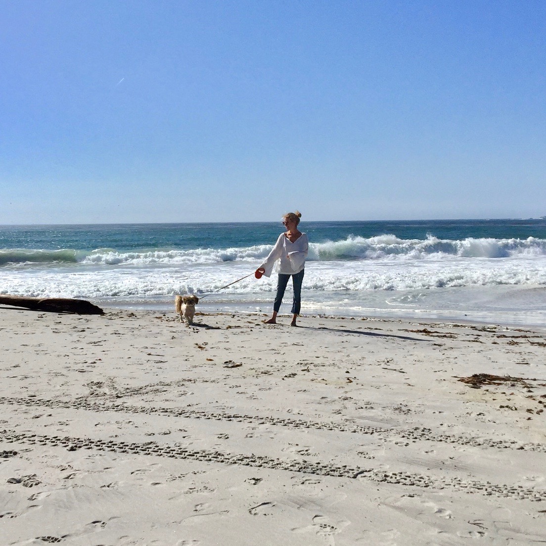 family beaches in Northern California to go to in the winter