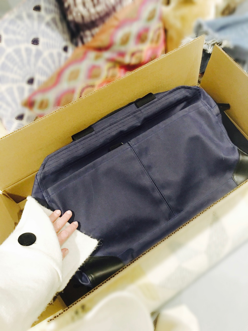 the pakt perfect travel bag for carry on