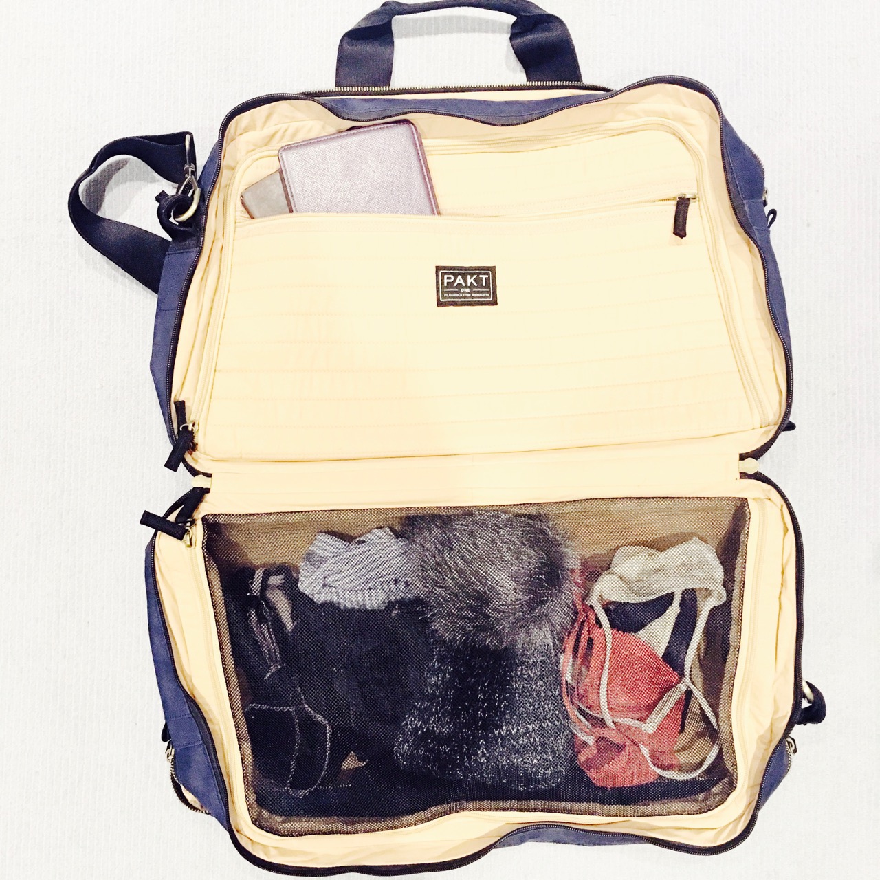 the pakt perfect travel bag for carry on