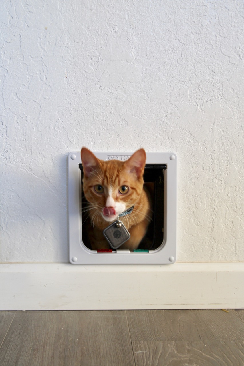 how to install a cat door
