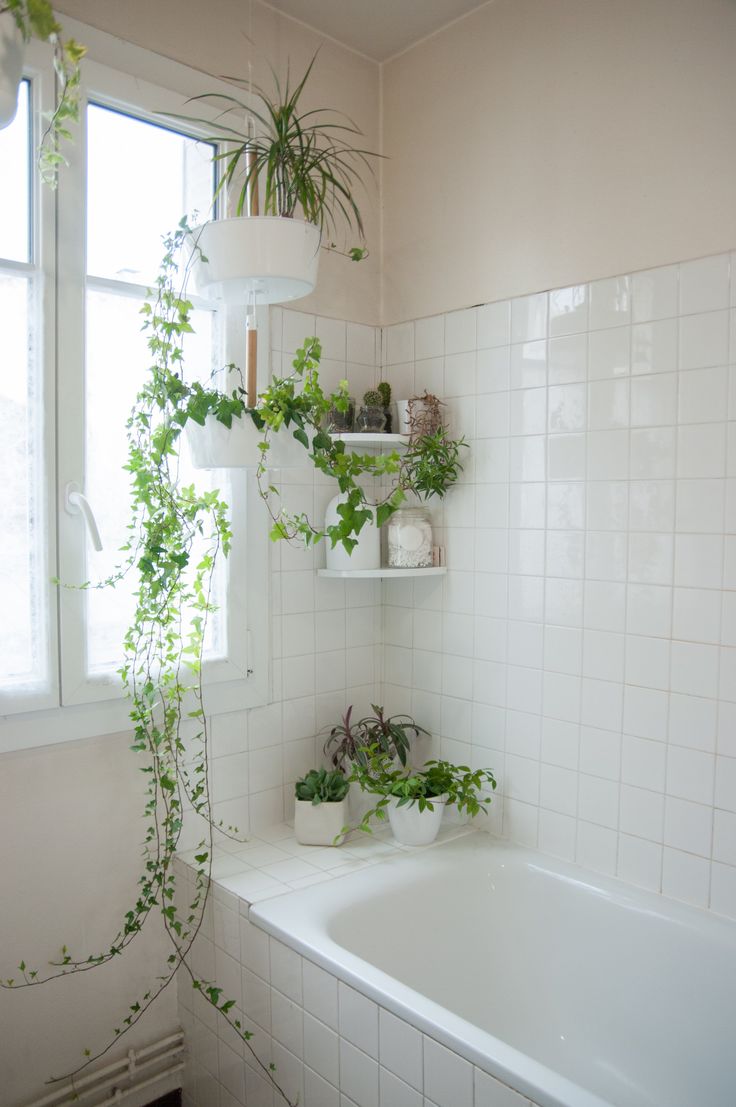 how to use plants in a bathroom 