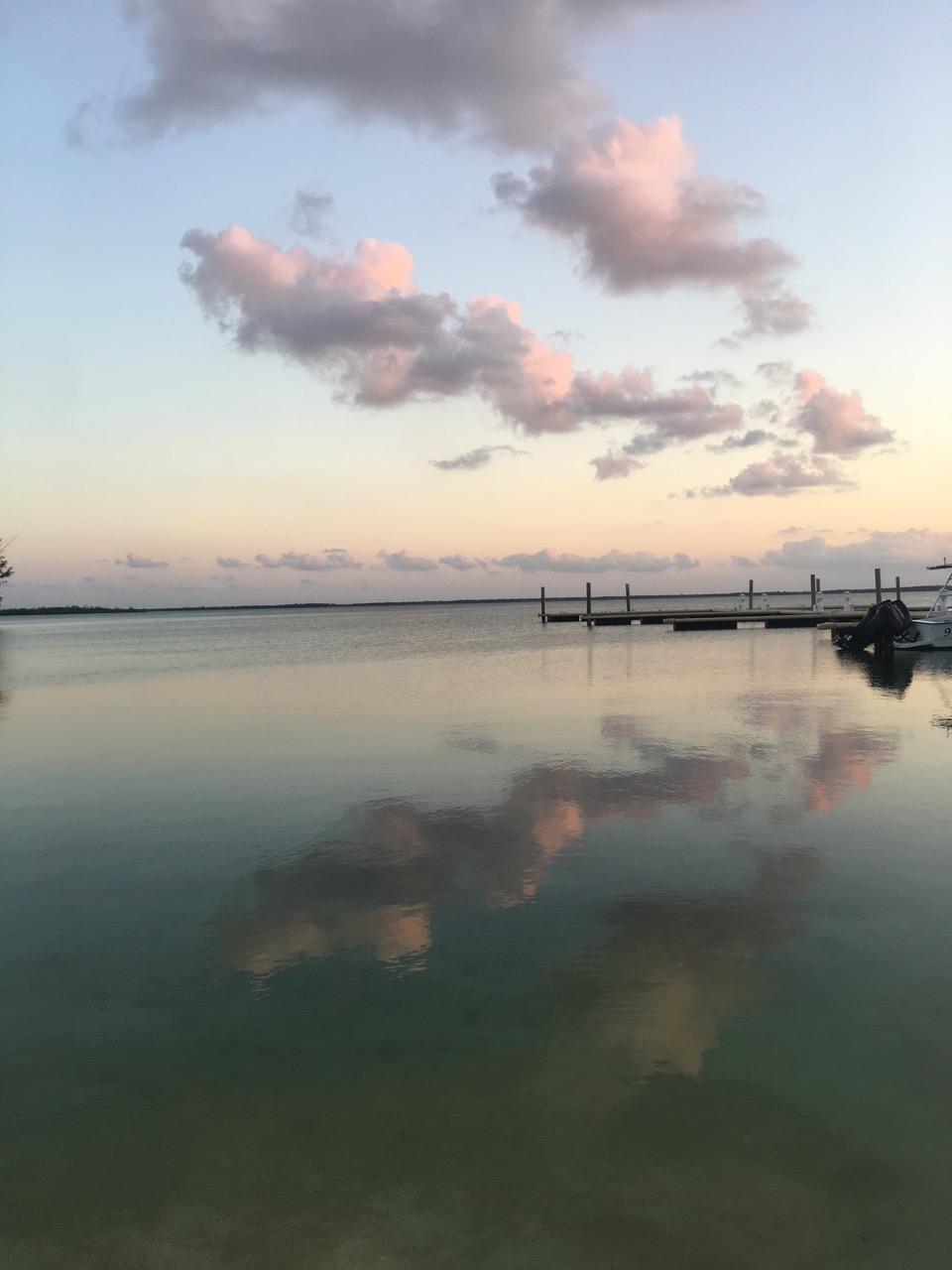 family diving in the Cayman Islands at ocean frontiers