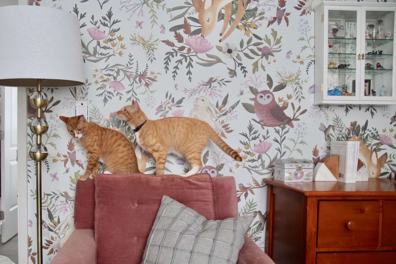 anewall oh deer mural wallpaper from Lulu and Georgia