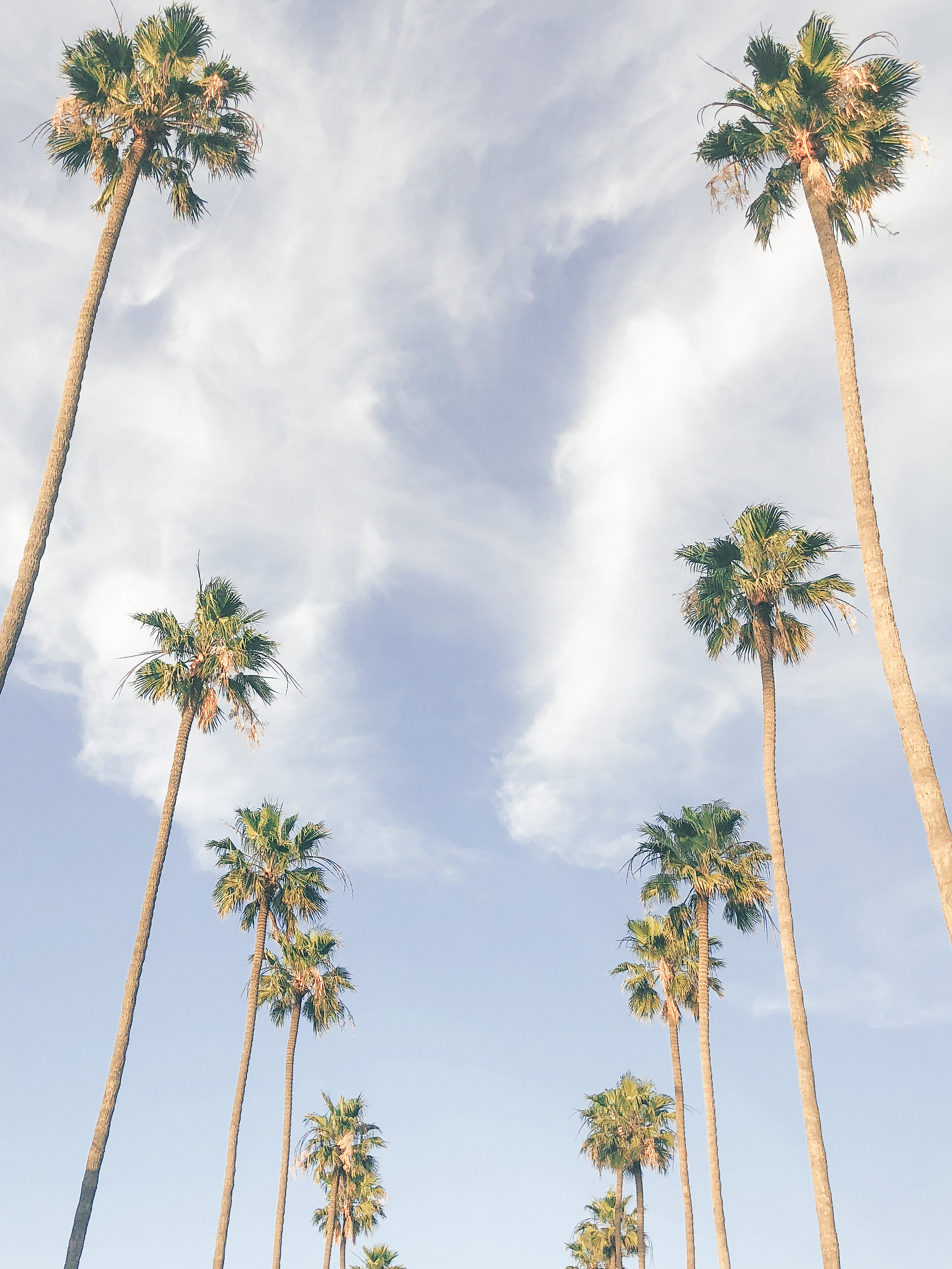 ariane moshayedi California coastal art photography
