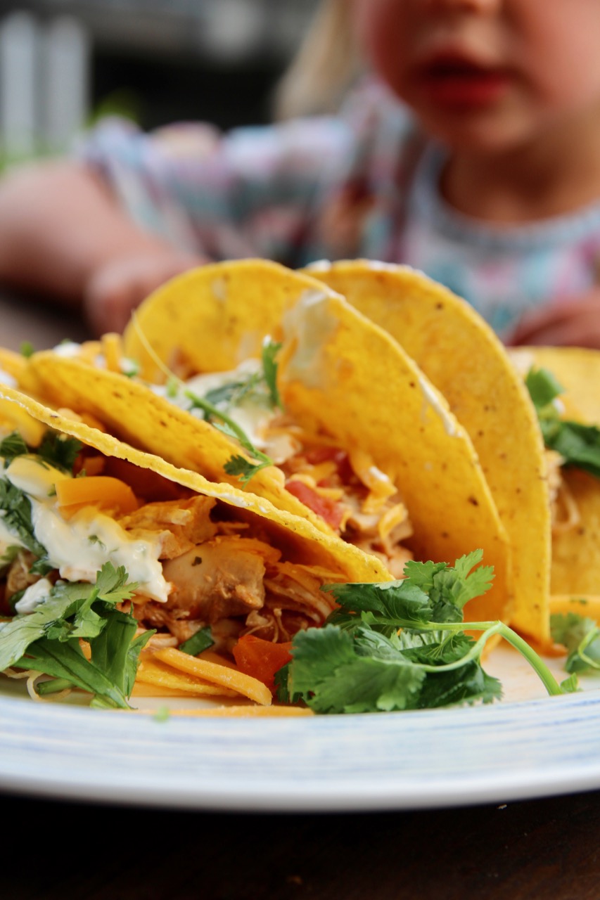 slow cooker four ingredient chicken tacos