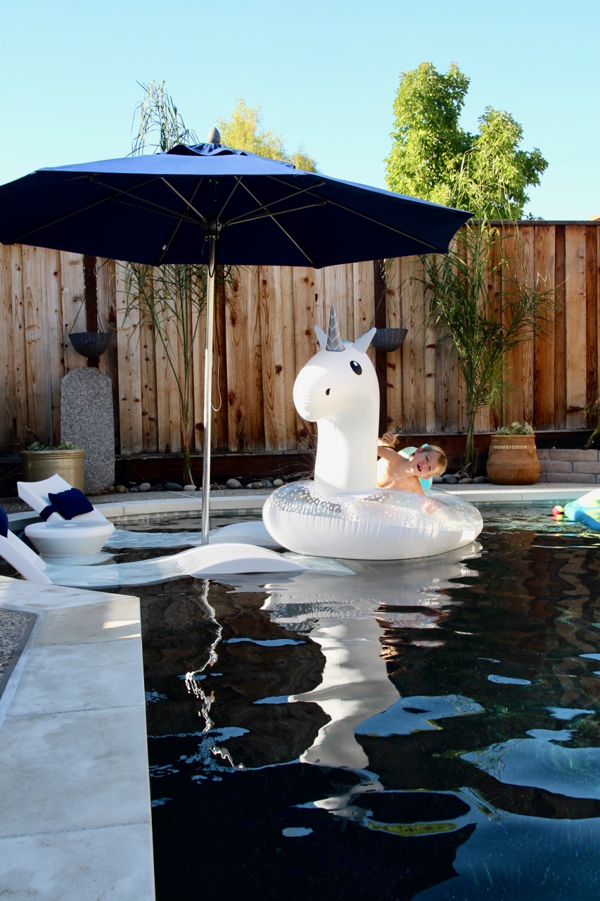 ledge lounger seating for baja shelf pool