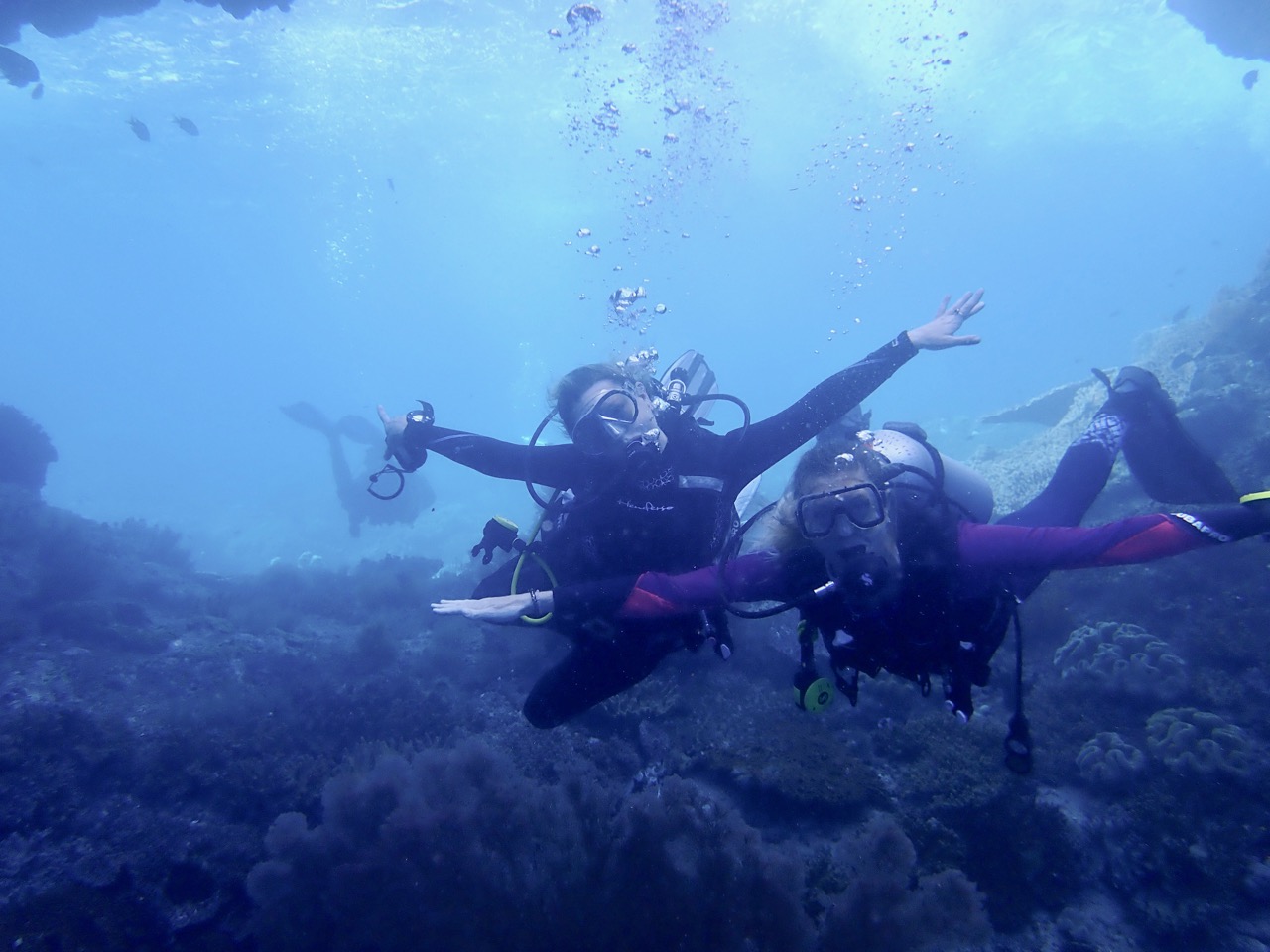 indonesia liveaboard scuba diving