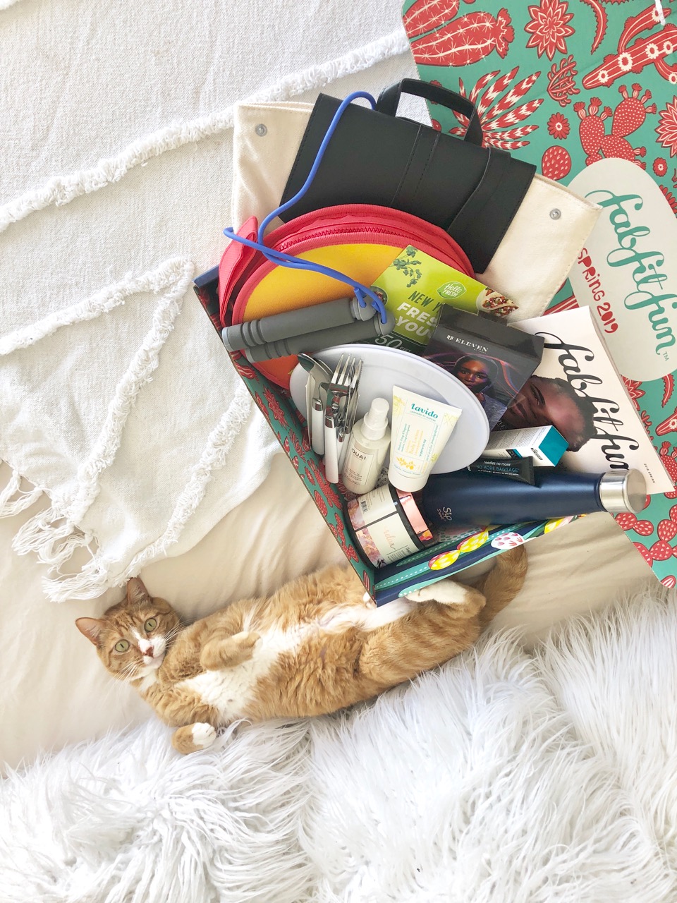 fabfitfun box review