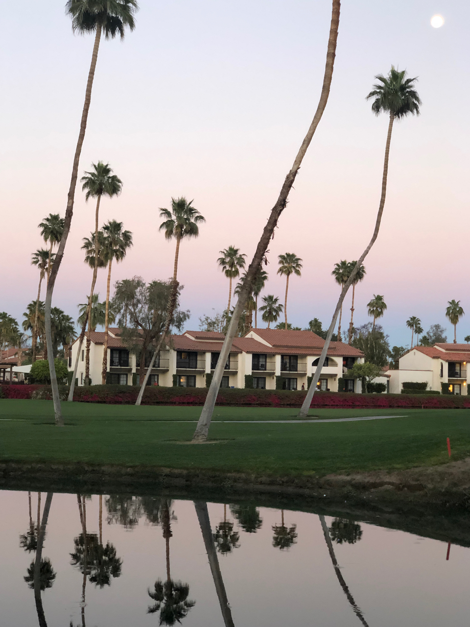 omni resort rancho las palmas splashtopia