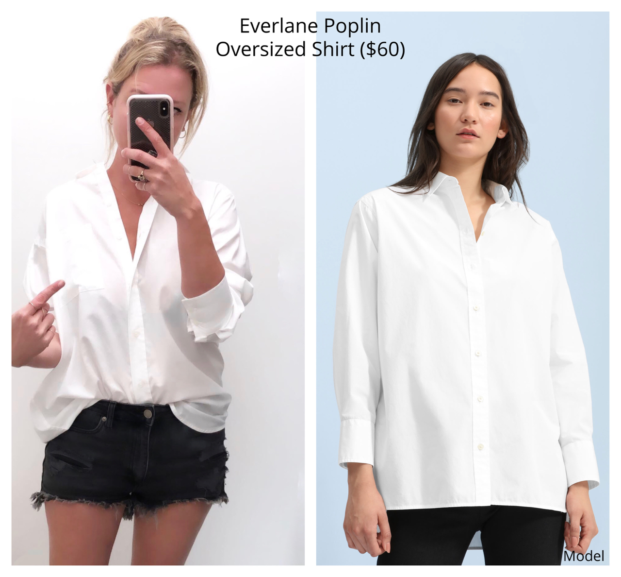 everlane new arrivals fall 2019