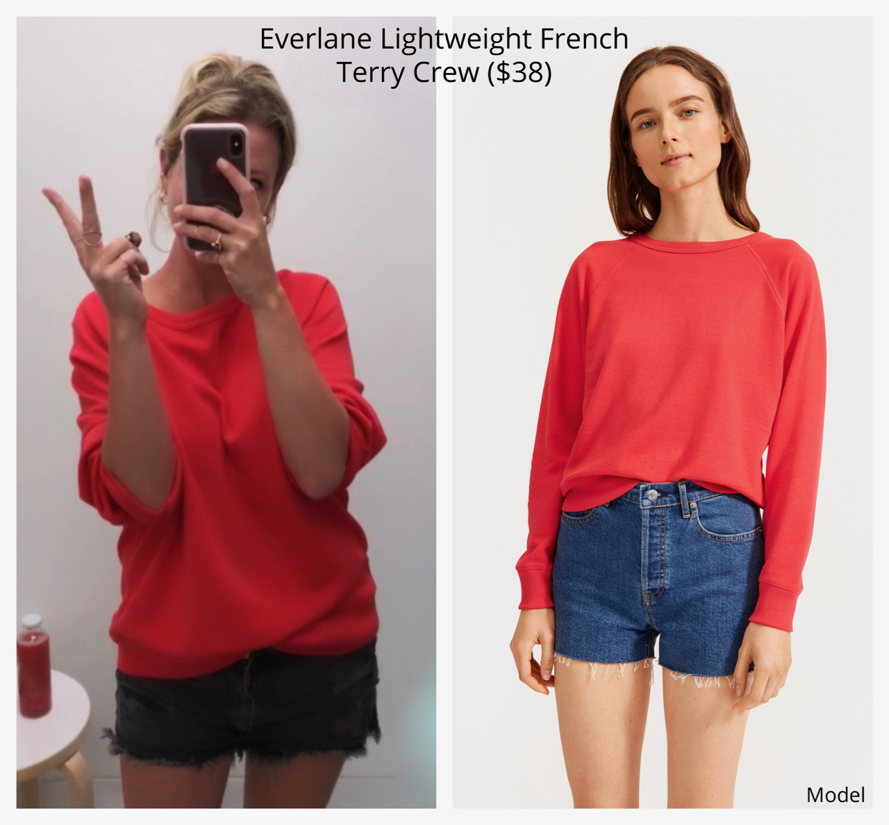 everlane new arrivals fall 2019