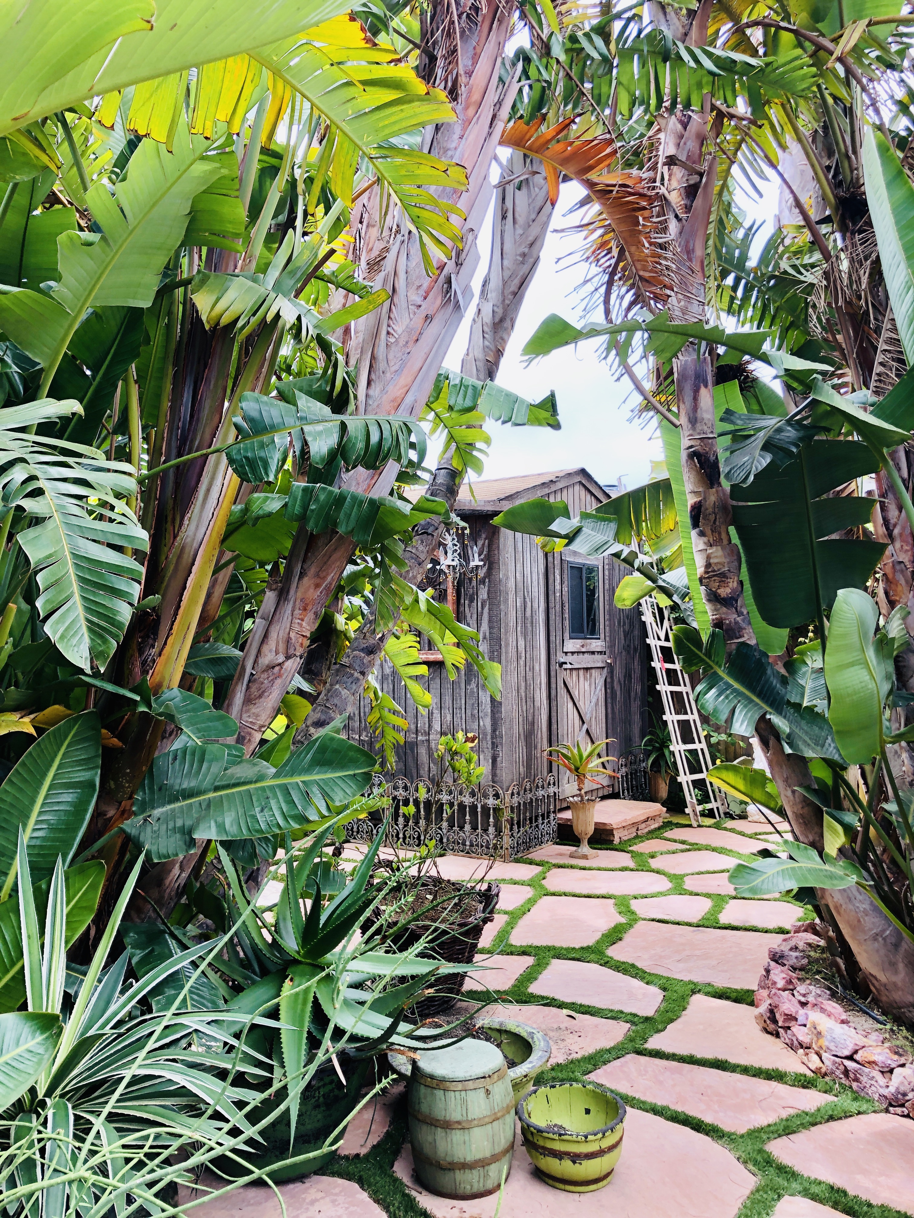 betsey Johnson paradise cove mobile home malibu