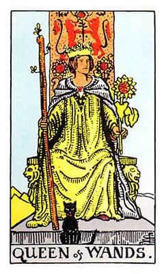tarot queen of wands card